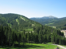 На Прикарпатье окружающей среде выделили 4 млрд грн