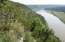 В Николаевской области преследуют экологов-активистов