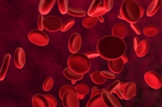 Дети с гемофилией остались без лекарств через обжалование результатов тендера?