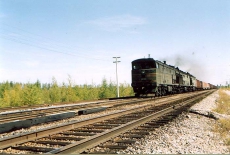 Украинскую компанию обвинили в массовом отравлении бромом россиян