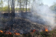 Одесситы травятся дымом с горевших торфяников