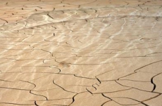 ООН предупреждает об опасности изменений климата