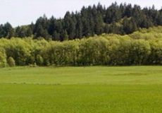 На Киевщине загрязнили заповедную зону