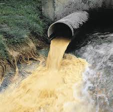 Экоинспекция оценила загрязнение реки Унава в два миллиона гривен