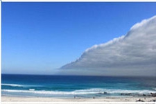 В Одессе состоялся фотоконкурс любителей природы