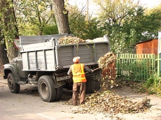 За сжигание опавших листьев киевлян ожидает жесткое наказание