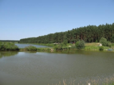 На Прикарпатье проведут учет прудов и станут развивать рыболовство