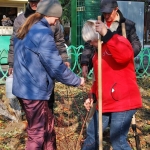 Одесситы внесли вклад в озеленение Аркадии