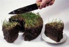 «Лозинских» поощряет закон – результаты анализа Лесного кодекса и практики его применения