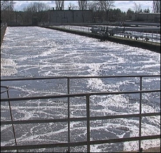 Киев стоит на пороге экологической катастрофы