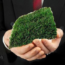 Более 12 млн. га украинских земель арендуют иностранцы