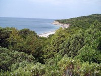 Незаконный приказ о строительстве дороги в заказнике «Утриш» отменен судом