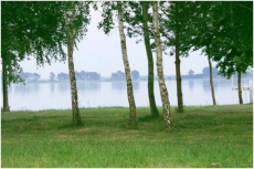 Природа и озера Волыни оказались под серьезной угрозой уничтожения