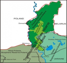 Украина, Польша и Беларусь создают биосферный резерват