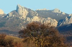 За год площадь заповедных территорий Крыма увеличилась на 27,5 тыс. гектара