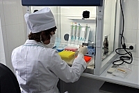 Украина внедряет европейскую модель контроля за качеством пищевой продукции