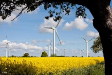 Дания будет инвестировать возобновляемую энергетику Украины