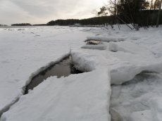 Существует угроза массового мора рыбы на водохранилищах
