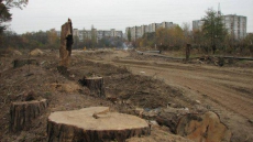 Д. Москаль: Незаконная вырубка Святошинского леса угрожает Киеву увеличением радиоактивного загрязнения