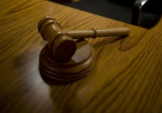 В суд передано дело о незаконной вырубке деревьев в Конча-Заспе