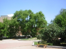 Денис Москаль: ПЗУ предлагает украинцам «помочь» власти вспомнить об окружающей среде, воспользовавшись письменным обращением