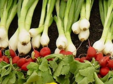 Украинцы стали больше употреблять органической продукции