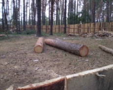 Застройщики получили право на свое усмотрение уничтожать зеленые зоны