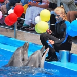 В День защиты детей воспитанники детдома №1 побывали в дельфинарии