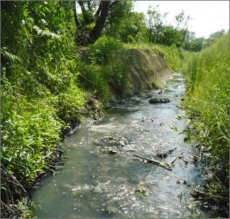 Ужгороду приходится пить воду с фекалиями