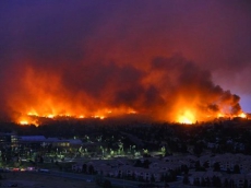 Снова пожар в Ялтинском заповеднике