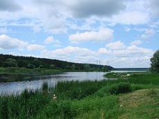 Денис Москаль: Управление экологии должно выяснить, кто уничтожает заводь реки Нивка