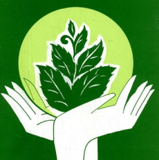 Столичное управление экологии ожидает реорганизация?