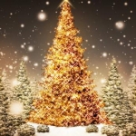 Игорь Марков приглашает одесситов на новогоднюю ёлку