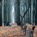 Прокуратура попытается отбить 2 гектара земли на 411-й батарее у захватчиков