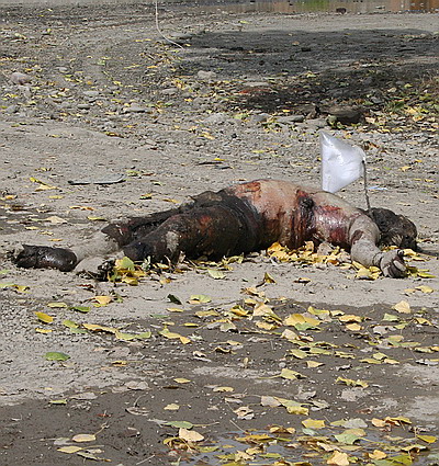 Новый Регион: ''Здесь пугают Украиной'', – Цхинвал глазами жителя Крыма (ФОТО)