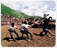 Свободная Россия на всенародном празднике