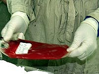 Родственники сдали кровь для установления личностей погибших в Перми