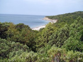 ���������� �����. ���� � ����� save-utrish.ru