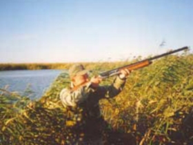 ������� � ��������� 