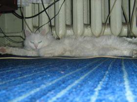 �������. ����: ����� ���������, ��������.Ru