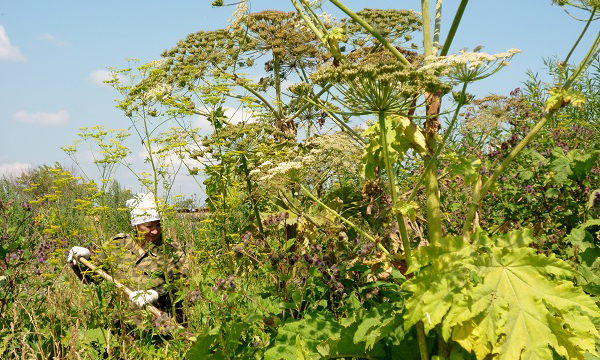 Фото: udmurt.er.ru