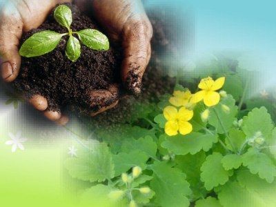 �������, ��������. ����: marina-dorih.ru