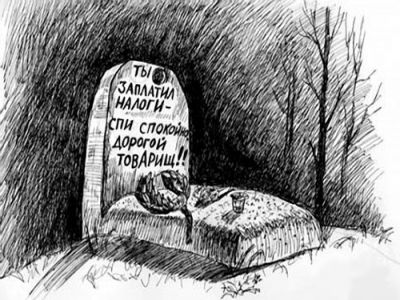 Налог. Фото: terrasochi.ru Налог. Фото: terrasochi.ru
