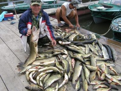 ������ �� �����. ����: dotalis.ru.com