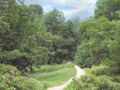 Дубовая роща. Фото: travel.imhonet.ru Дубовая роща. Фото: travel.imhonet.ru