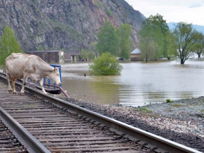Наводнение на Алтае. Фото: ntv.ru Наводнение на Алтае. Фото: ntv.ru