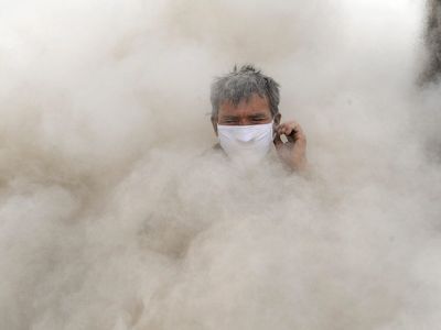 Пыль. Фото: photo-day.ru Пыль. Фото: photo-day.ru