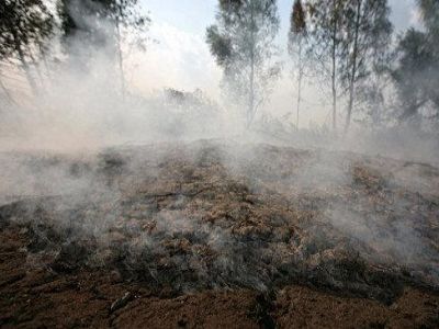 Горящий торфяник, Подмосковье. Из http://www.tribuna.ru/ Горящий торфяник, Подмосковье. Из http://www.tribuna.ru/