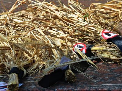 ������� ��� ������ ������. ����: savekhoper.ru