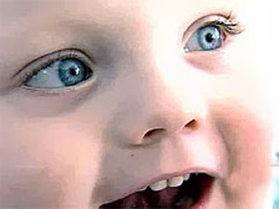 �������. ����: ���� ���������� 